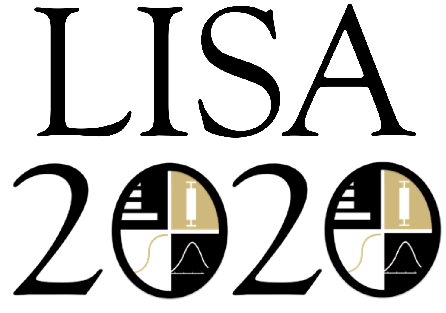 LISA 2020 Network
